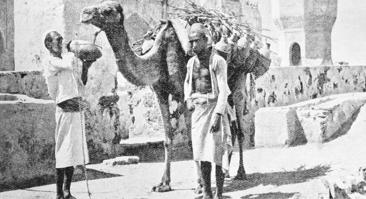 Camel water carrier